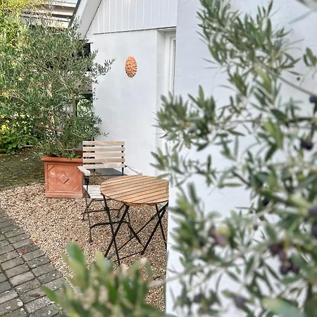 Remise * Ράινμπαχ